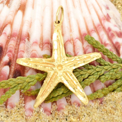 14k Yellow Gold Texture Starfish Beach/Nautical Dangle/Drop Pendant