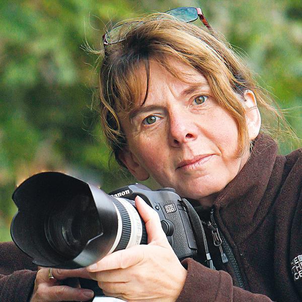 Thumbnail - Kistengärtnern, Dorothea Baumjohann