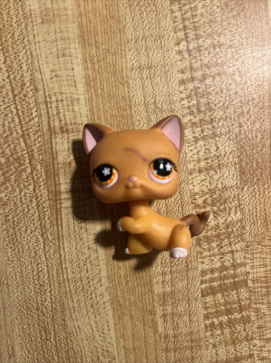 RARE Littlest Pet Shop Orange Cat Orange Eyes | eBay