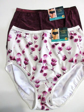 Vanity Fair 2-Pair BRIEF Body Shine Illumination Panties Nylon/Poly 13109  6/M