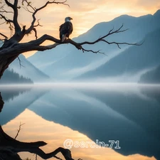 Digital Image Picture Photo Wallpaper Background Desktop AI Art Sample Product