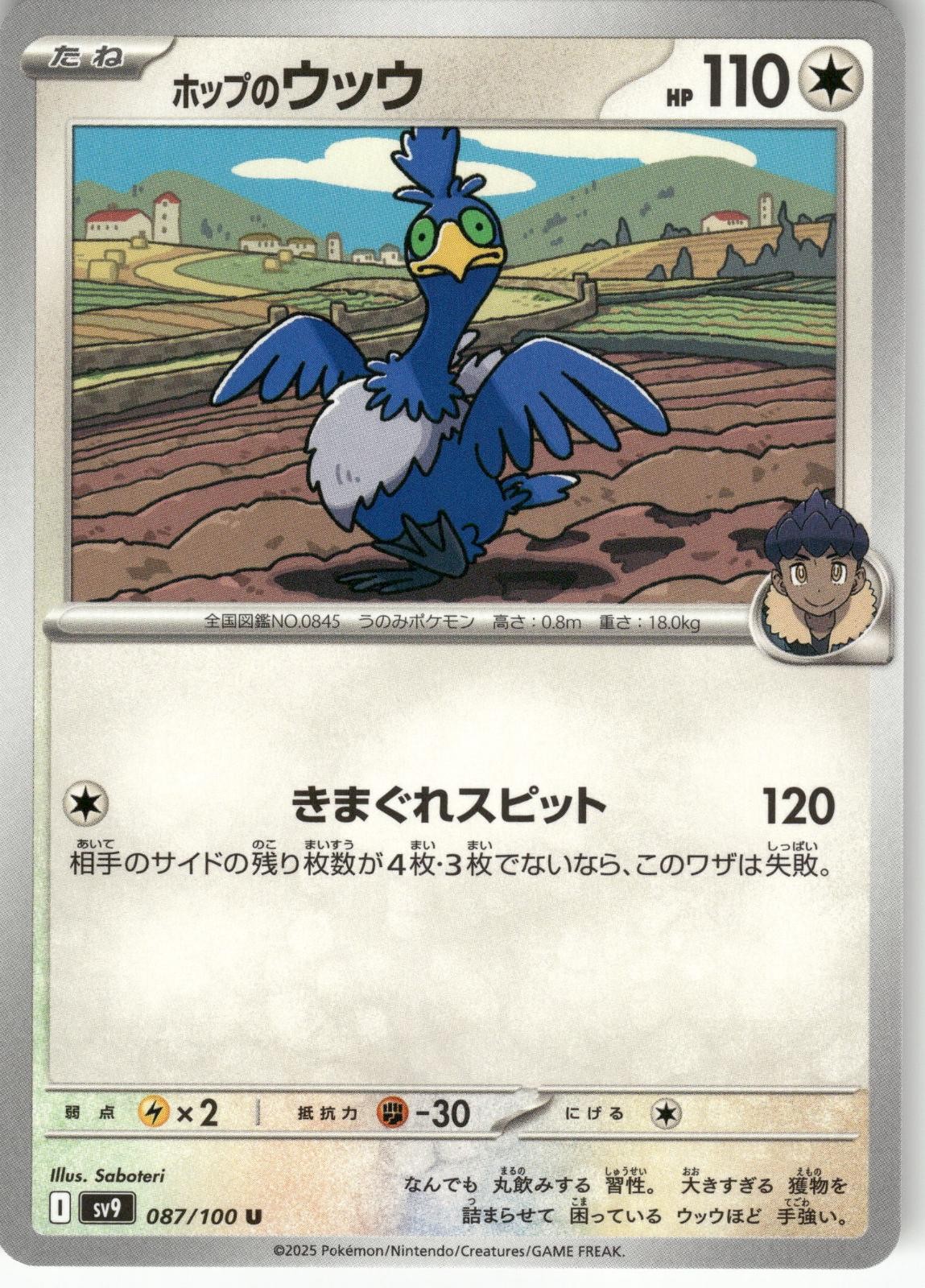 Hop's Cramorant 087/100 Uncommon Battle Partners Pokemon Japanese Near Mint