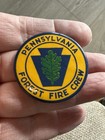 Vintage Pennsylvania Forest Fire Crew Pin Button — photo 1