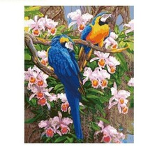 Paint By Numbers Adults kids Parrot Animals DIY Painting Kit 40x50CM Canvas