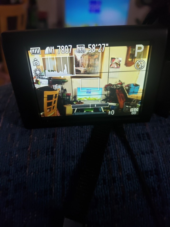 Canon PowerShot SX50 HS 50x Zoom Digital Camera Card Battery + Charger