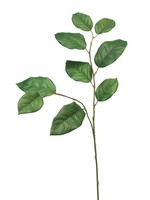 Artplants Deko Apfelbaumzweig Konstantin, GrüN, 75 Cm