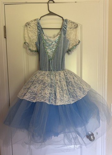 Revolution At The Ballet Dress