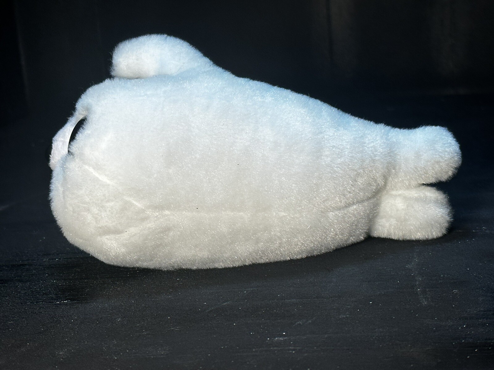 Picture 6 of 6