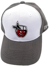 Vintage Fort Wayne TinCaps Baseball Hat Adjustable Team Banks MiLB Mascot Cap