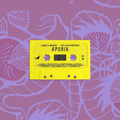 Sufjan Stevens & Lowell Brams Aporia Cassette Tape! 2020 Indie New Age Album NEW