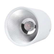 Dimmable/N LED COB Ceiling Lamp Picture Light Fixture Indoor Downlight Corridor