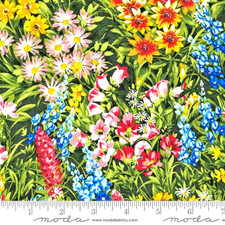 Moda Fabrics The "WILDFLOWERS VI 33770 11 "MEADOW" BTY