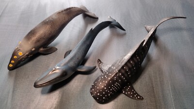 Whale Shark Blue Whale Grey Whale Model Lot