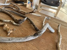 16 CURVY DRIFTWOOD BRANCH Craft Curly Florist Display Terrarium Snake Reptile