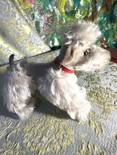 Steiff Snobby Poodle Dog Mohair 50s Jointed Legs Glass Eyes Red Collar