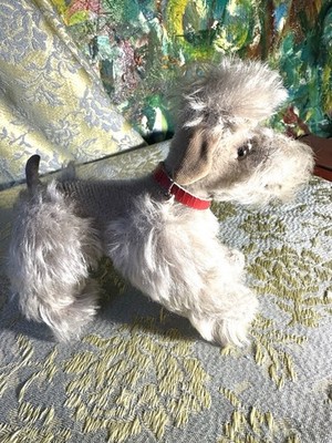 Steiff Snobby Poodle Dog Mohair 50s Jointed Legs Glass Eyes Red Collar