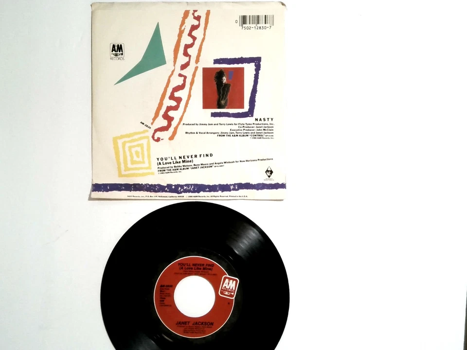 Janet Jackson - Nasty /You'll Never Fine - 80s Dance Pop 7" Vinyl 45 Pic Sleeve - Image 4 of 4
