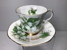 Canadian Provincial Flowers Royal Adderley Trillium Bone China Teacup & Saucer