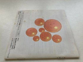 Sega Saturn Dragon Ball Z Idainaru Densetsu Japan JP GAME SS Bandai U218