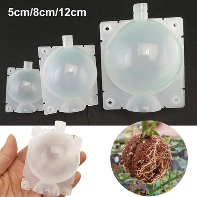 Transparent Propagation tree Plant Rooting Ball Branch Root Grow Box Nursery Pot