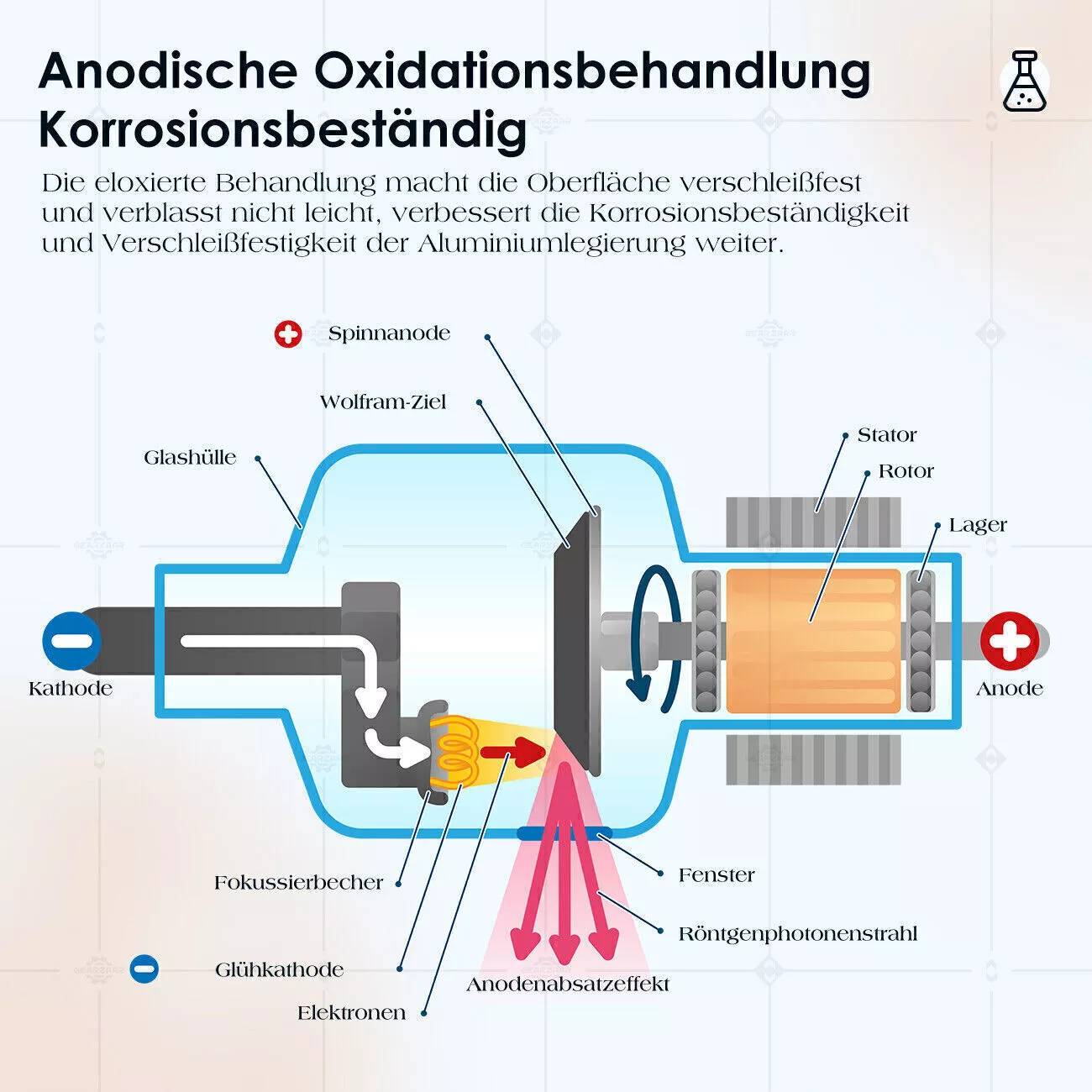 Bild 11 von 18