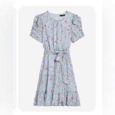 Banana Republic Baby Blue Floral Short Ruched Sleeve Ruffle Hem Dress