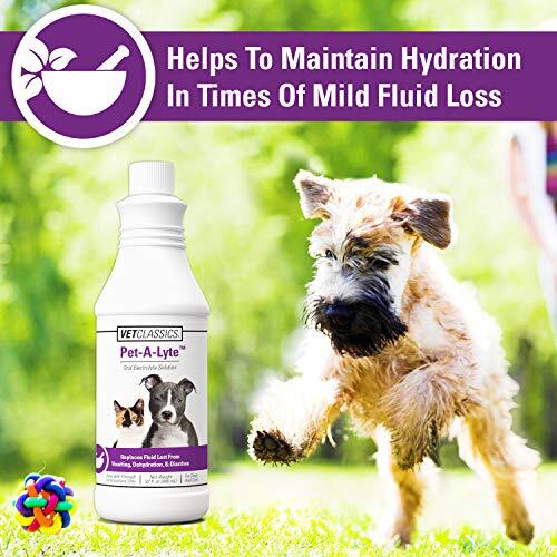 Vet Classics Pet-A-Lyte Oral Electrolyte Solution for Dogs and  Assorted Sizes 