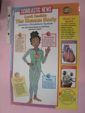 Exercise Sing Along / Human Body Scholastic Magic Schoolbus Poster Teaching Aid