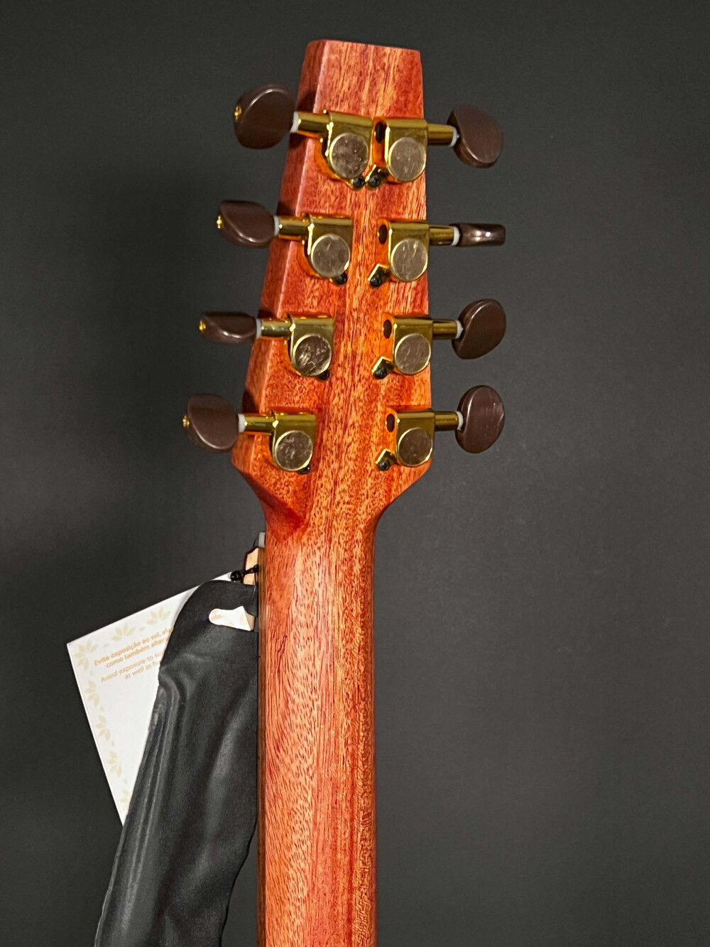 APC IRB305 Artist Irish Bouzouki, Solid Sapelli eBay