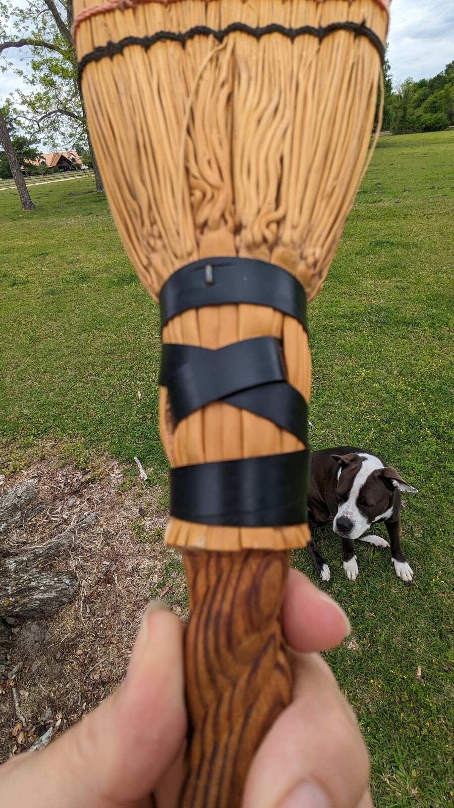 Picture 6 of 10