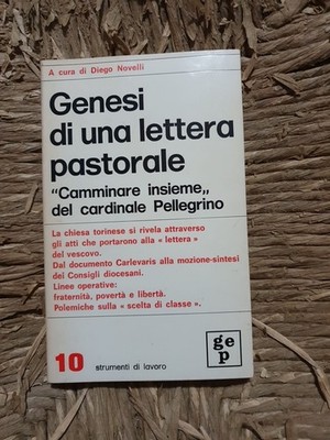GENESE EINES PASTORALEN BRIEFES AN Pflege von Diego Novelli Ed. Verlagsgruppe 