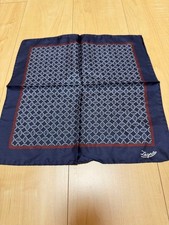 Zegna pocket square new unused