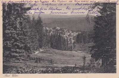 1924 AK Deutsches-Reich Bad- Elster Sachsen Stadtbild Panorama Landschaft top !! - Bild 1 von 2