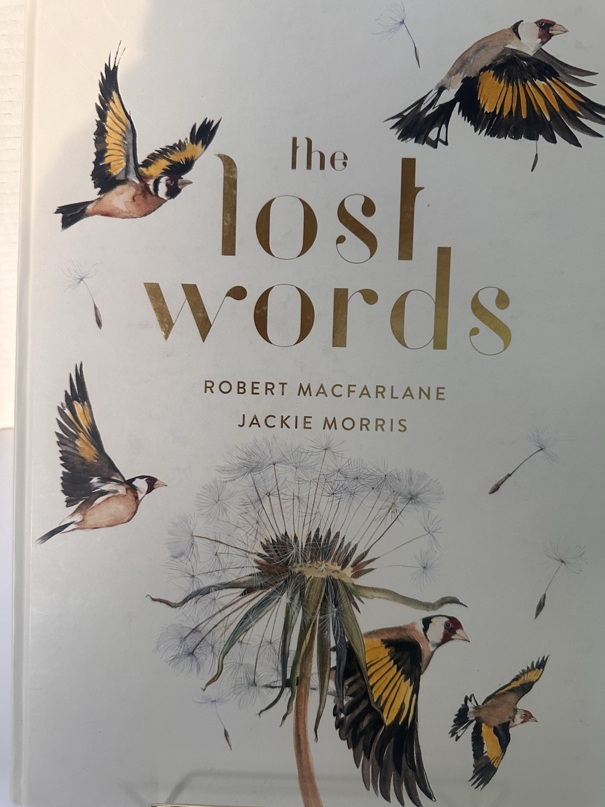 The Lost Words Hardcover by Robert Macfarlane & Jackie Morris Book