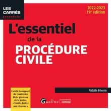 Lessentiel de la procédure civile: Enrichi du rapp... | Buch | Zustand sehr gut