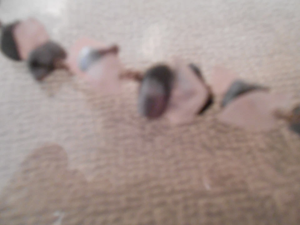 РОЗОВЫЙ КВАРЦ ЧЕРНЫЙ КРУЖЕВНОЙ АГАТ ИЗ ЧИСТОЙ ПРОВОЛОКИ НАТЯНУТОЕ ОЖЕРЕЛЬЕ 30 ДЮЙМОВ ДЛИНОЙ - Изображение 2 из 4