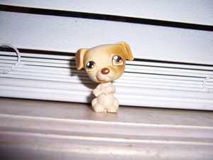lps jack russell