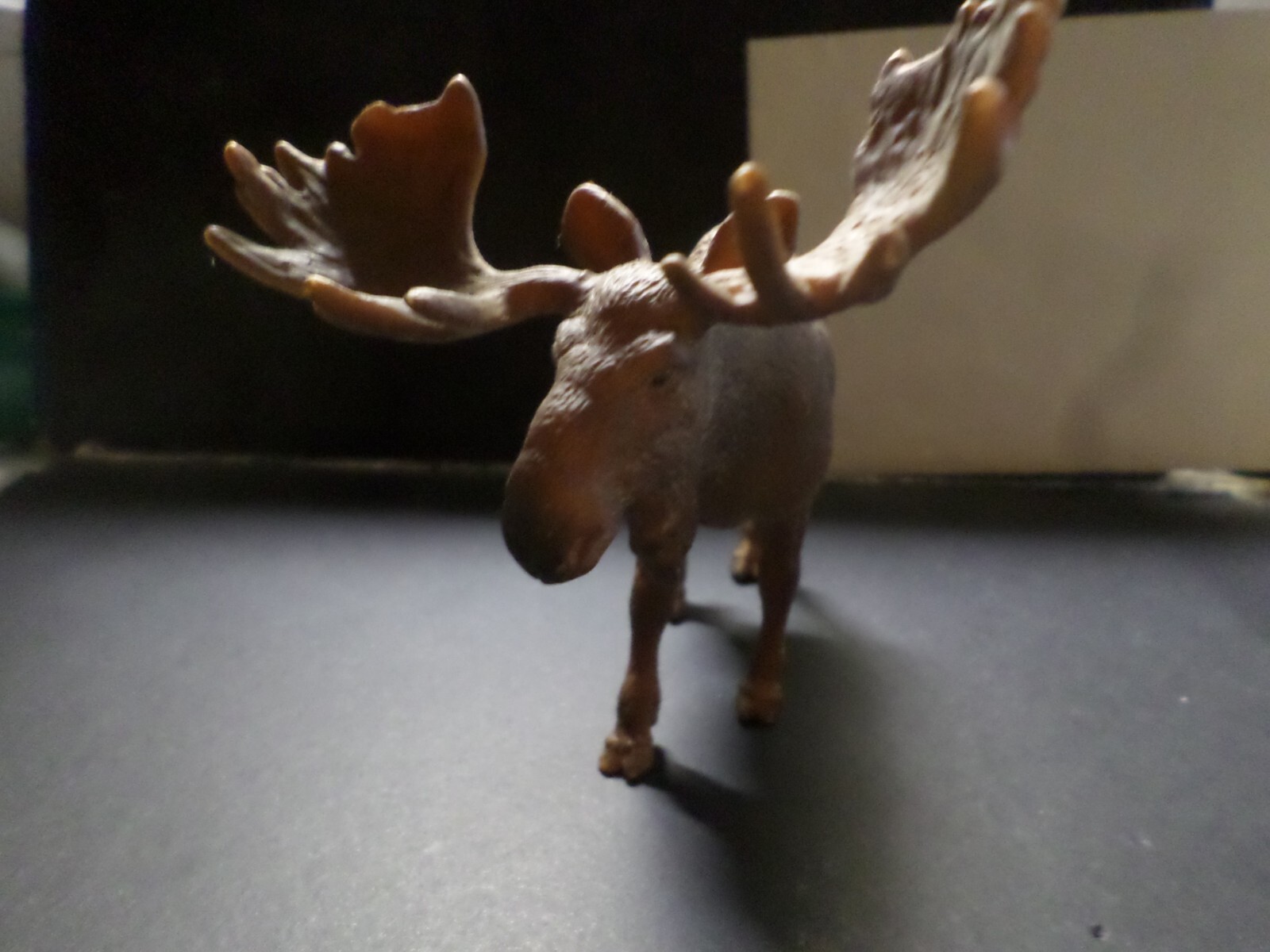 Foto 4 di 5