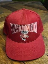 Vintage Wisconsin Badgers P Hat OLCP Collegiate Liscensed Product Made In USA