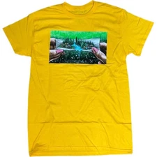 Gold DGK Paradise Found