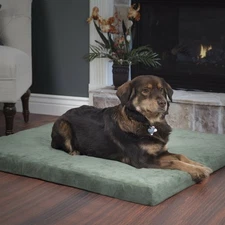 Jumbo 35 x 44 x 3 inches Orthopedic Foam Pet Bed with Washable Cover