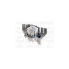 Pompe à eau Rover 820