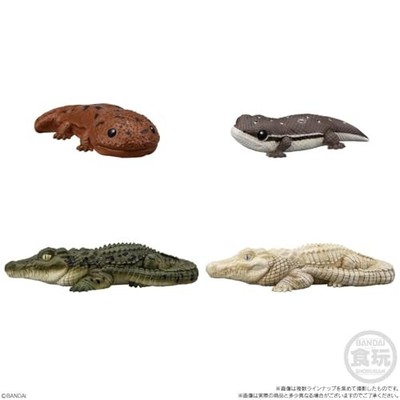 BANDAI Tenori Friends 12 Reptiles and Amphibians x12P in Box Mini