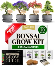 Bonsai Tree Growing Kit Indoor Starter Set with Seeds Pots Soil Gifts