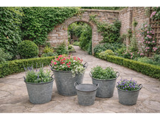 Large Round  Metal Bucket Planters Vintage Tub Plant Garden Flower Pot 5 sizes
