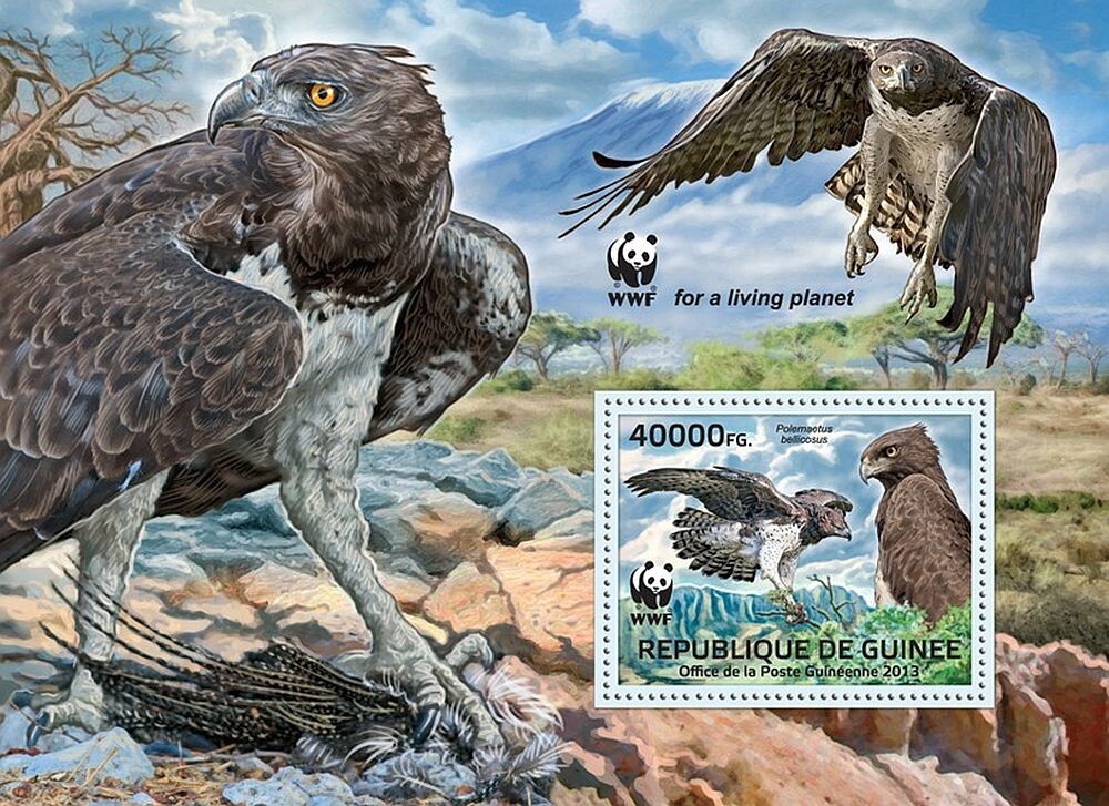MARTIAL EAGLE Birds of Prey MNH 1v-Stamp Sheet WWF #4 (2013 Guinea)