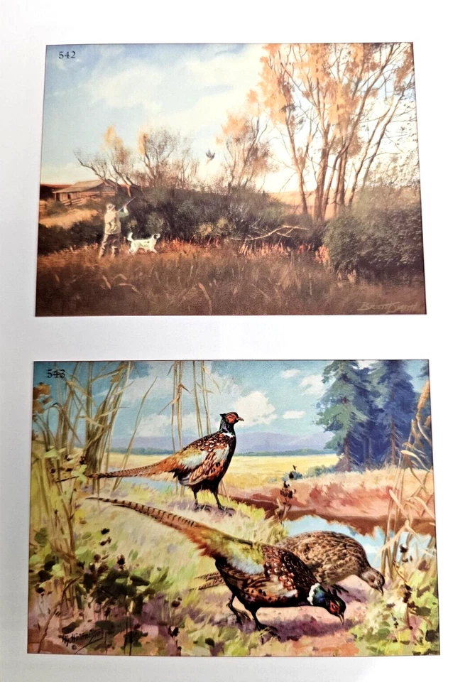 Copley The Sporting Sale July 15 - 16 2009 Auction Catalog - Image 3 of 4