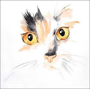 Studio B Aquarelle Chat Face Closeup Civiere Image De L Ecran Chat Aquarelle Ebay