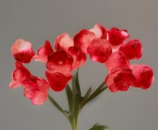 Czech Glass Flower Beads Red 10mm Qty: 10