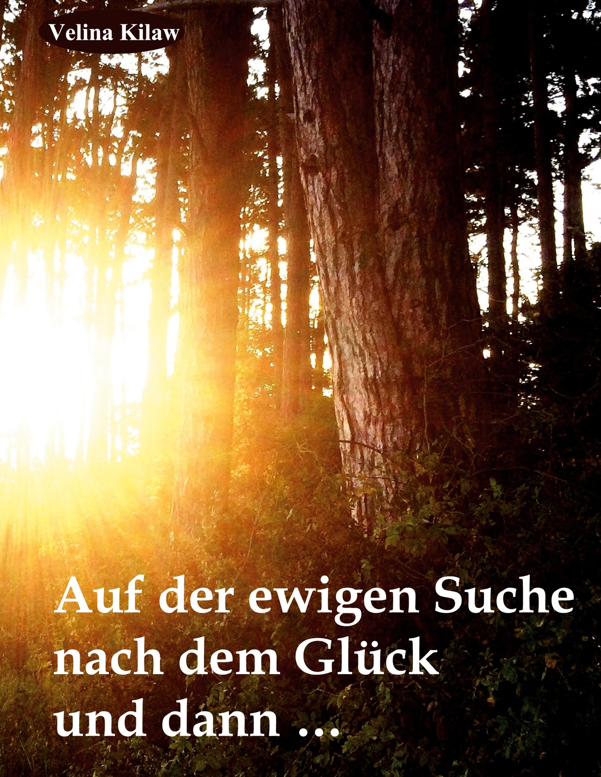 Thumbnail - Auf Der Ewigen Suche Nach Dem Glück Und Dann ..... (buch)